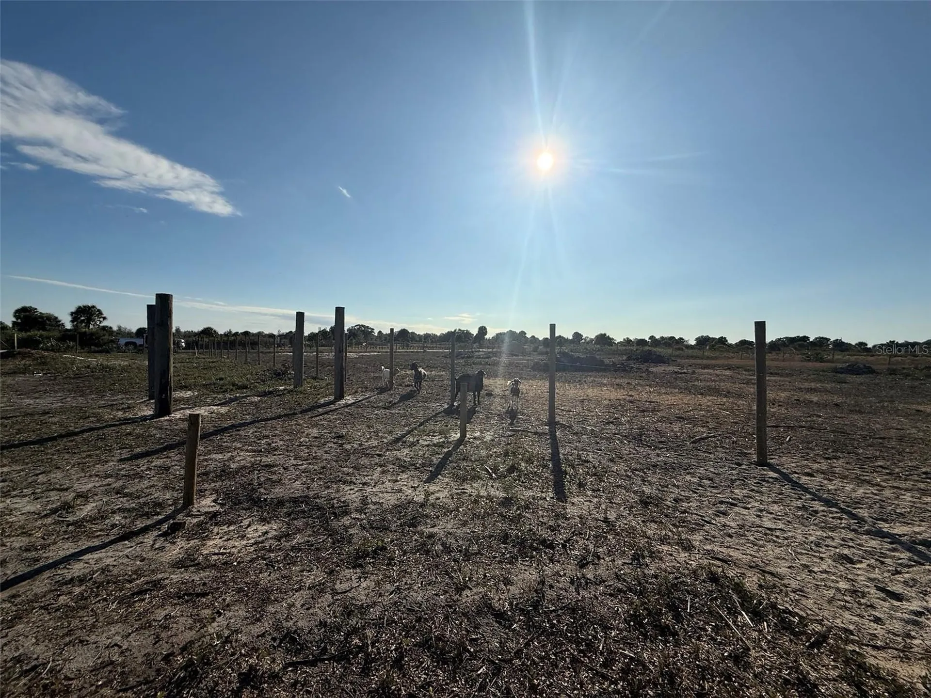 21377 NW 276th Street Okeechobee FL 34972