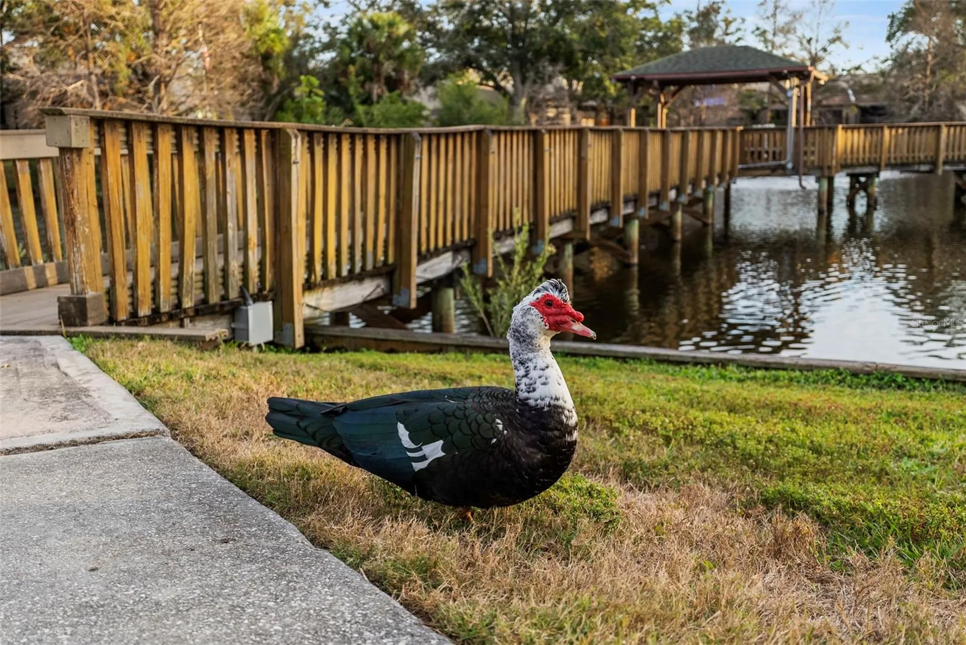 6438 93rd Terrace N Pinellas Park FL 33782