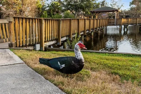 6438 93rd Terrace N Pinellas Park FL 33782