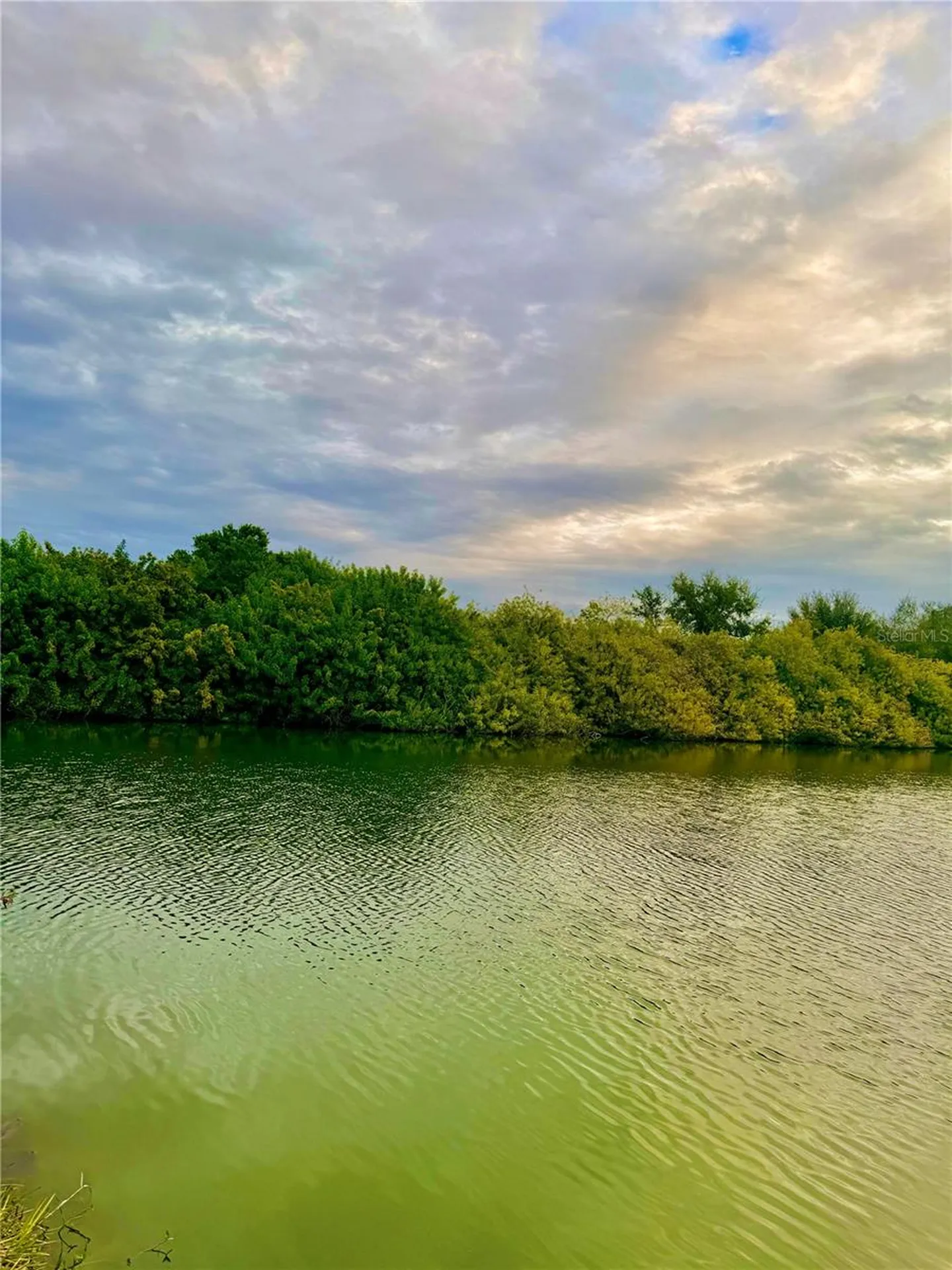 Lot 1511 Jackson Drive Holiday FL 34691
