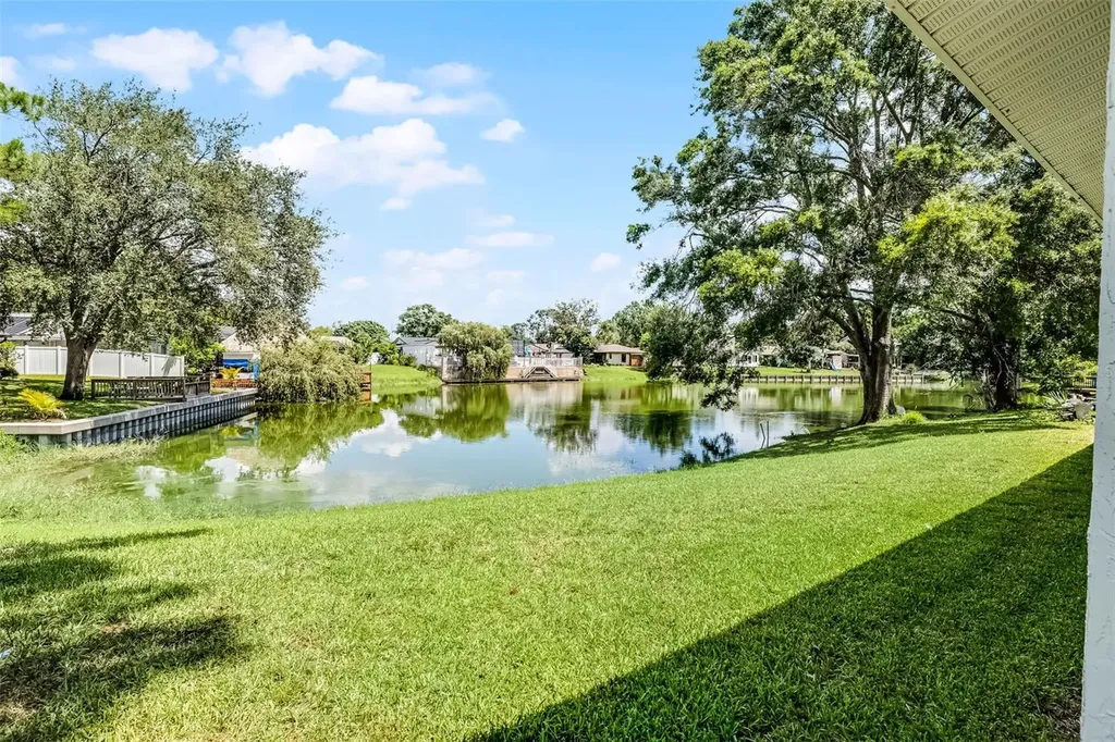 8208 La Serena Drive Tampa FL 33614