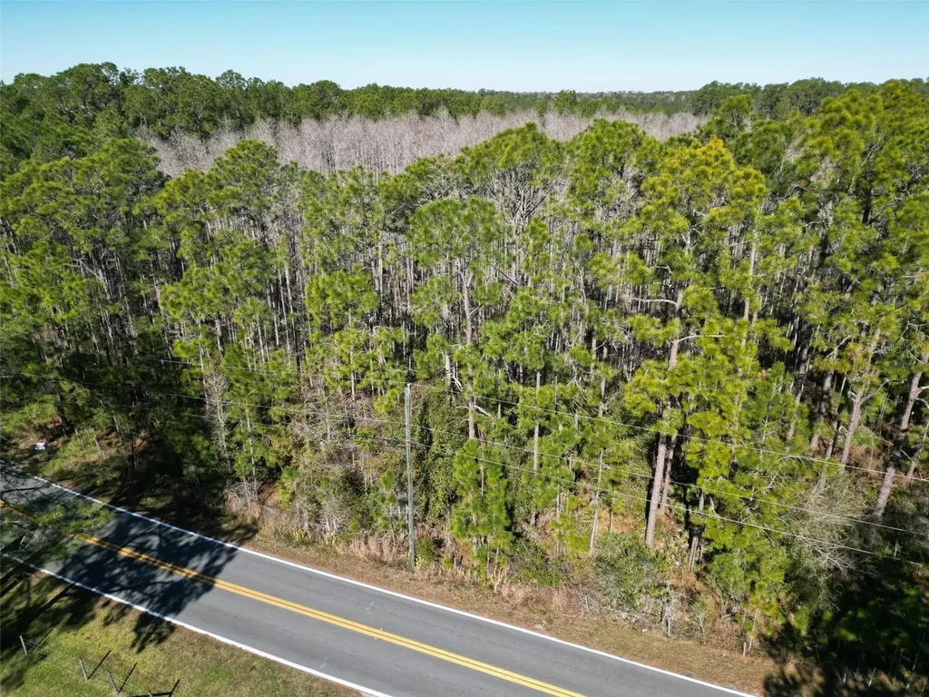 Green Pond Road Polk City FL 33868