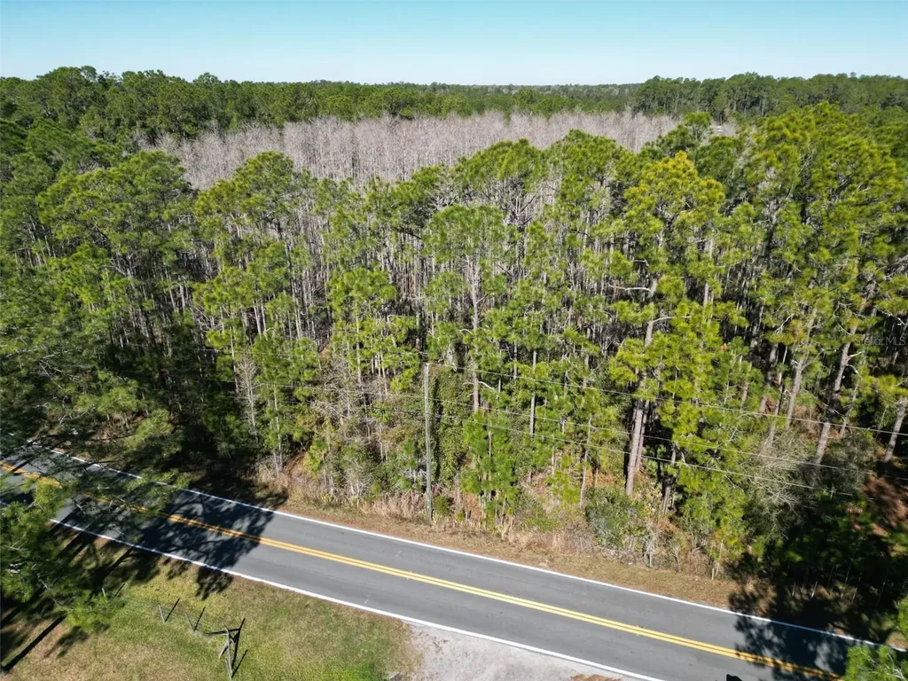 Green Pond Road Polk City FL 33868