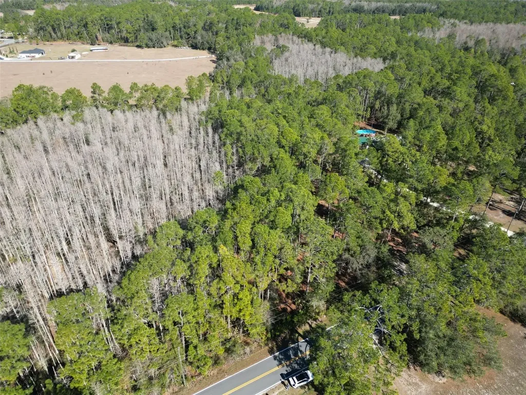 Green Pond Road Polk City FL 33868