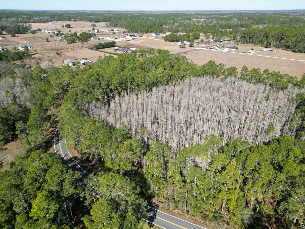 Green Pond Road Polk City FL 33868