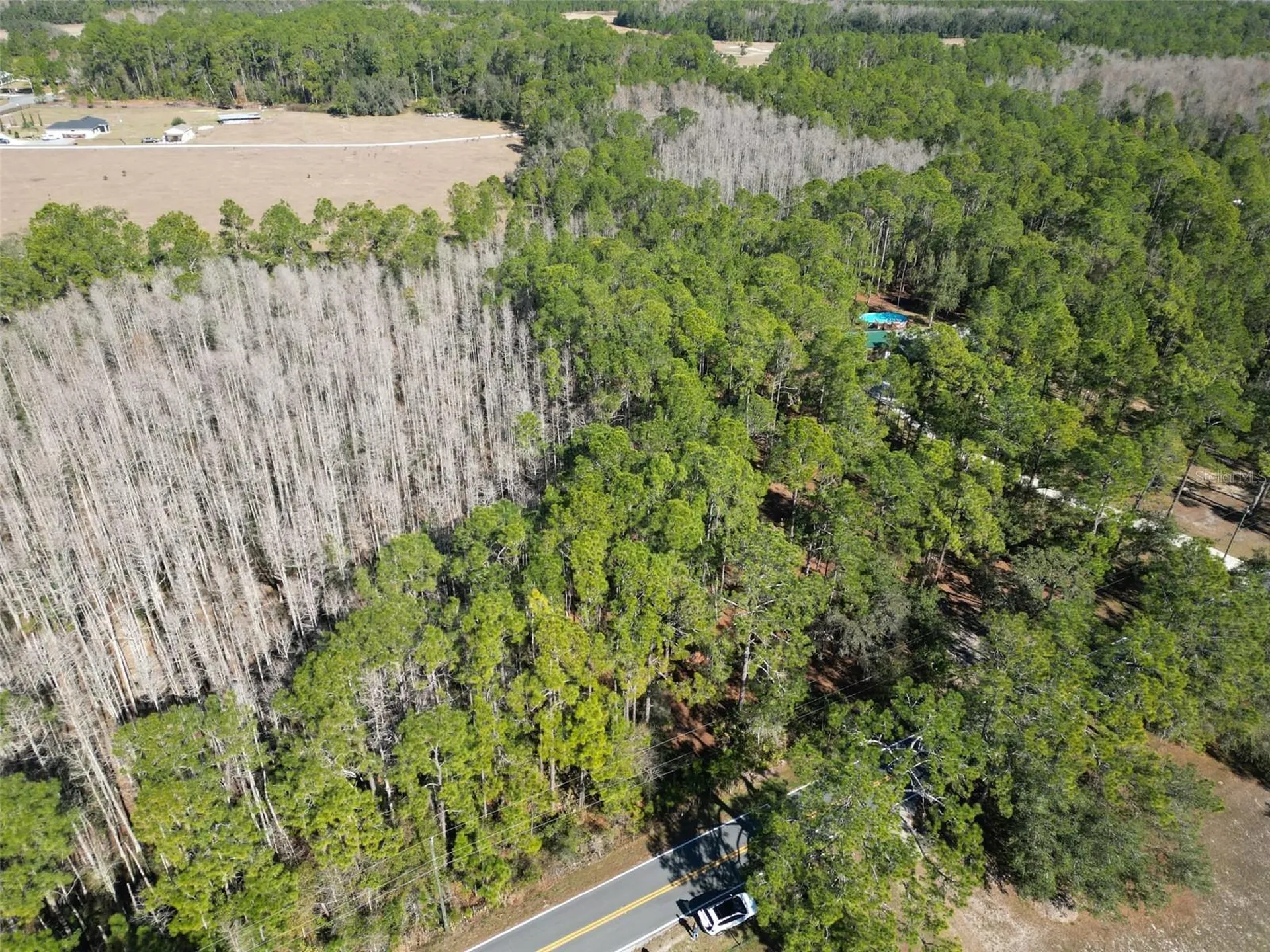 Green Pond Road Polk City FL 33868