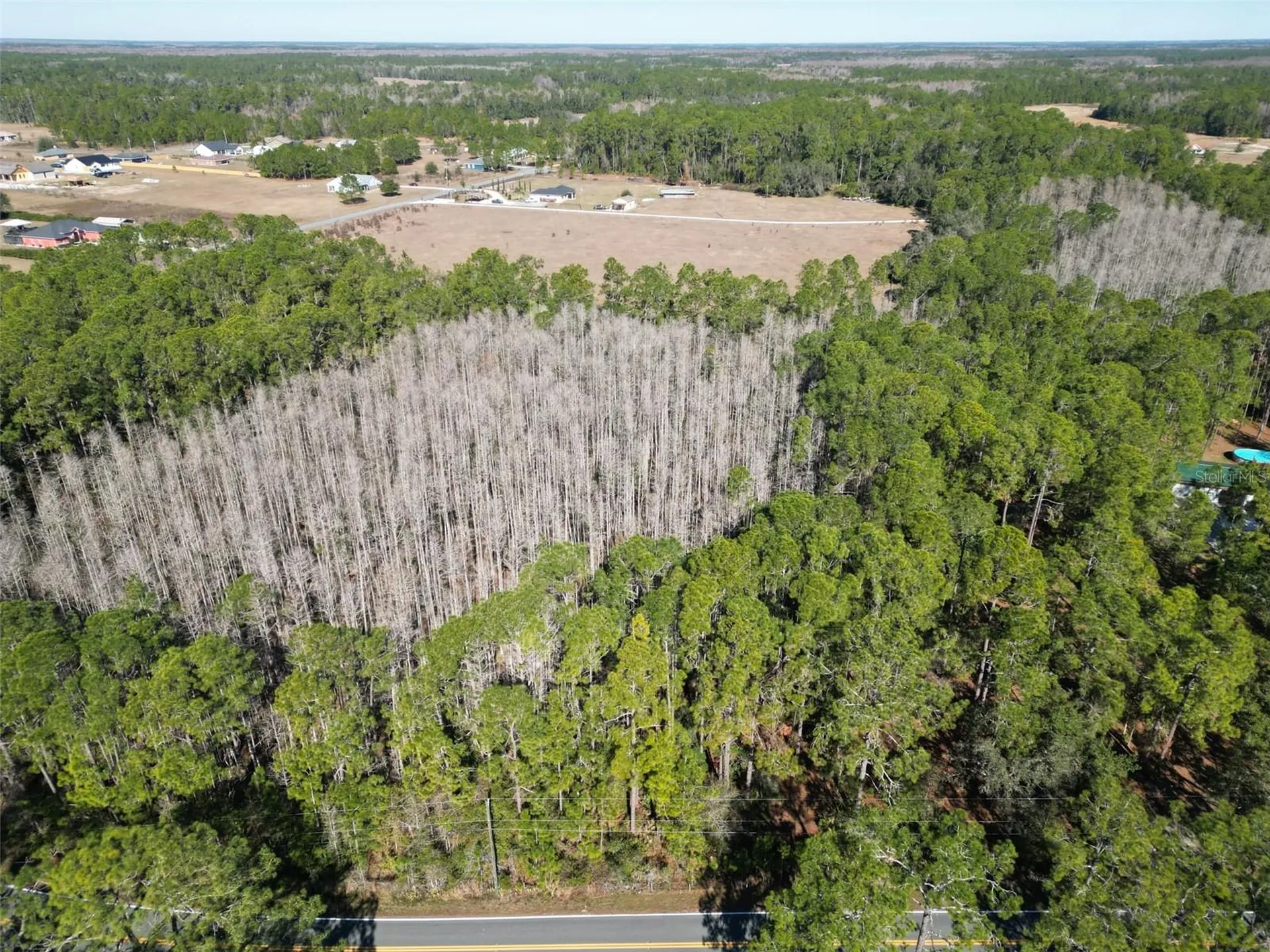 Green Pond Road Polk City FL 33868
