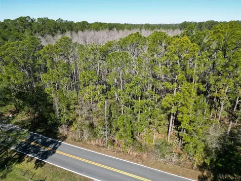 Green Pond Road Polk City FL 33868