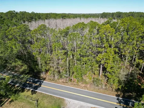 Green Pond Road Polk City FL 33868