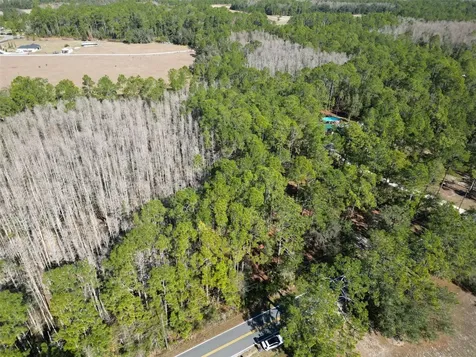 Green Pond Road Polk City FL 33868