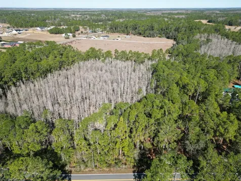 Green Pond Road Polk City FL 33868