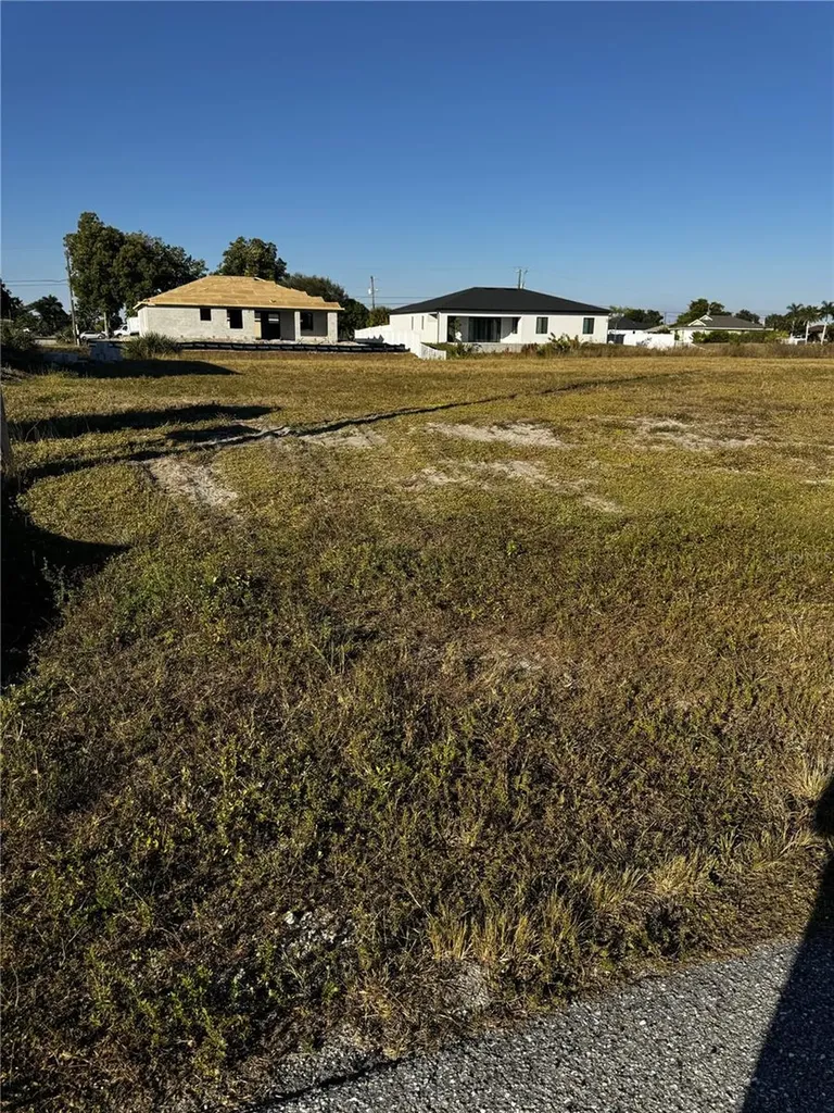 1715 NE 13th Terrace Cape Coral FL 33909
