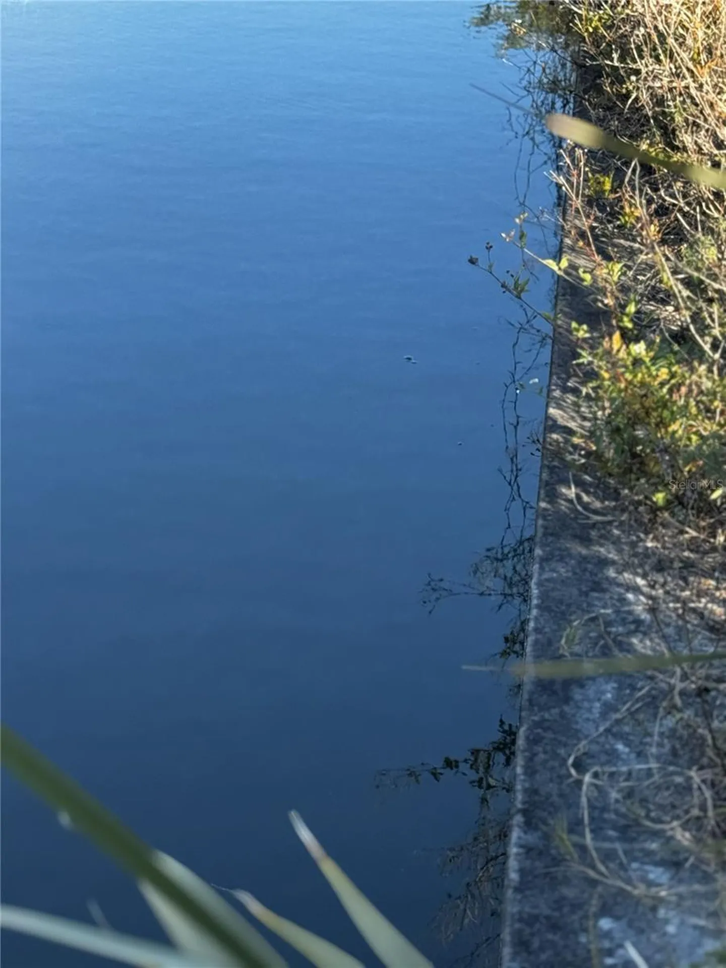 1715 NE 13th Terrace Cape Coral FL 33909