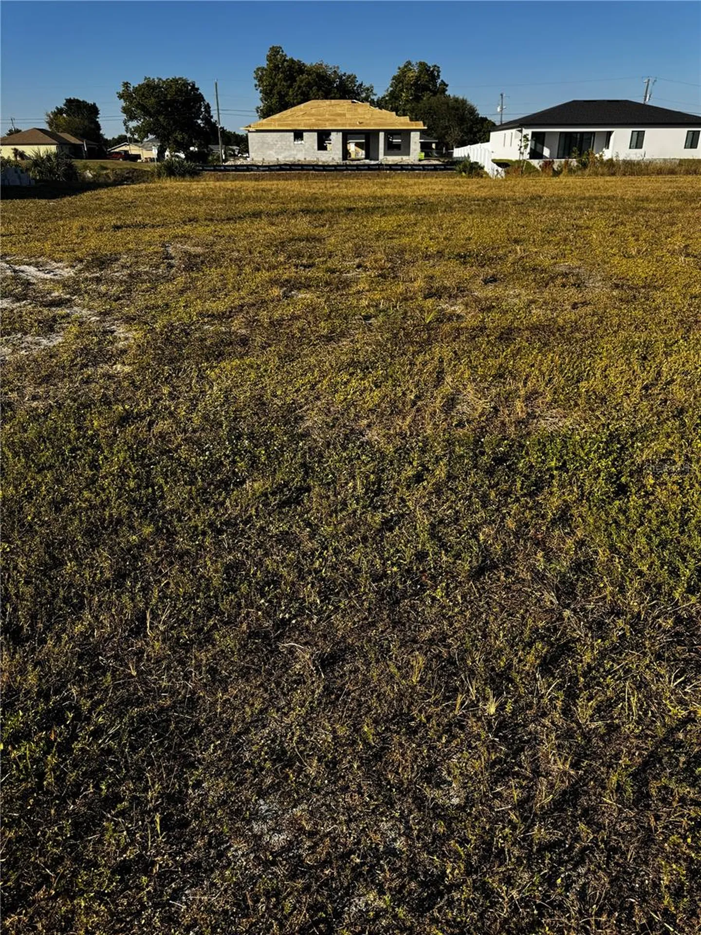1715 NE 13th Terrace Cape Coral FL 33909