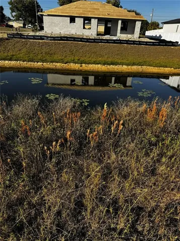 1715 NE 13th Terrace Cape Coral FL 33909