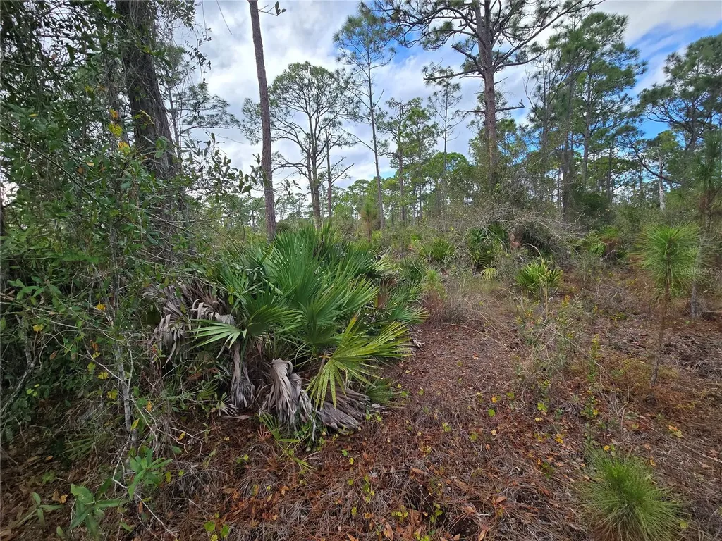 27571 Sandrala Drive Punta Gorda FL 33955