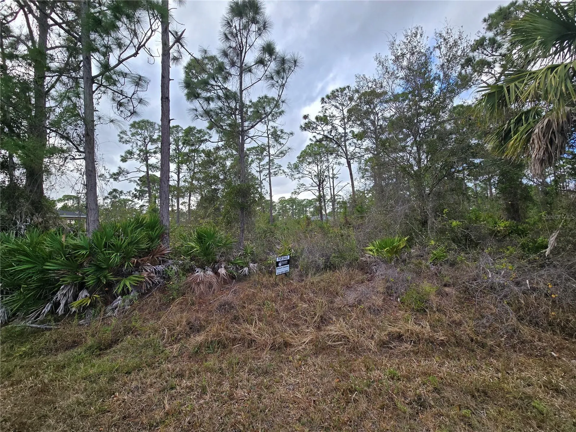 27571 Sandrala Drive Punta Gorda FL 33955