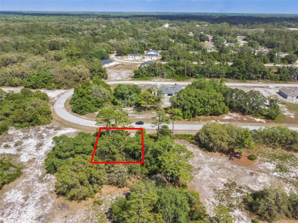 1335 Hillsborough Court Kissimmee FL 34759