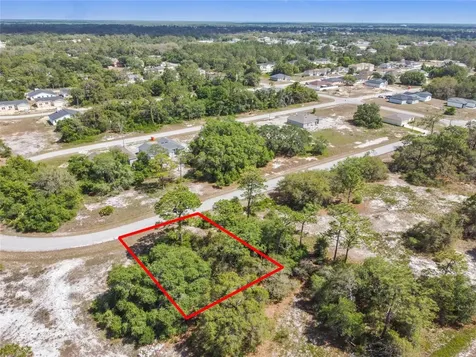 1335 Hillsborough Court Kissimmee FL 34759