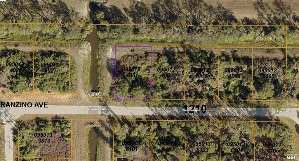 0950121001 Franzino Avenue North Port FL 34291