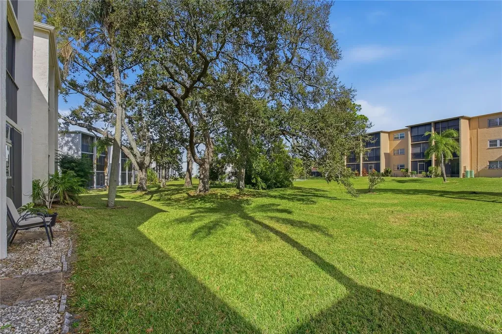 1375 Doolittle Lane Dunedin FL 34698