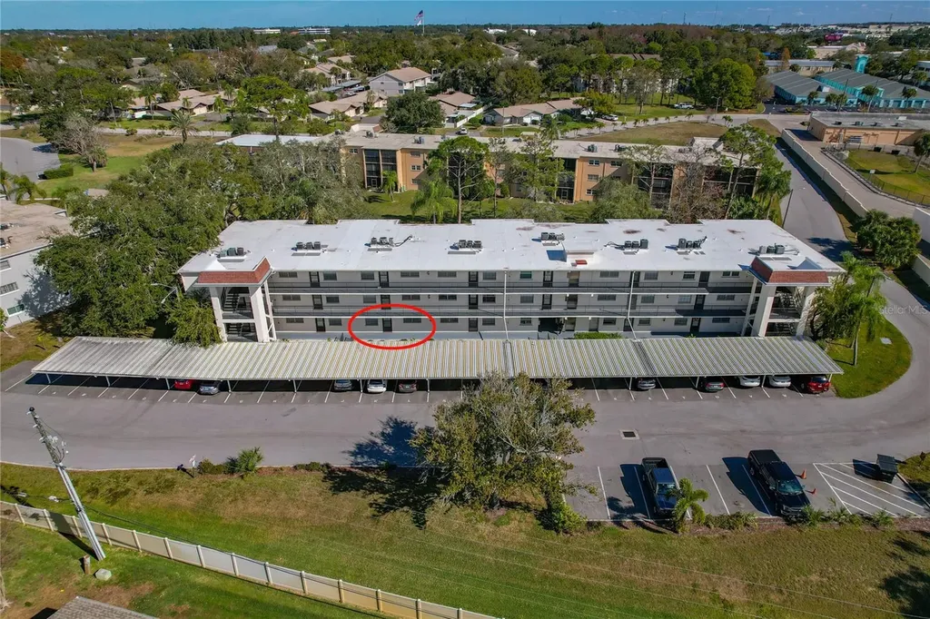 1375 Doolittle Lane Dunedin FL 34698