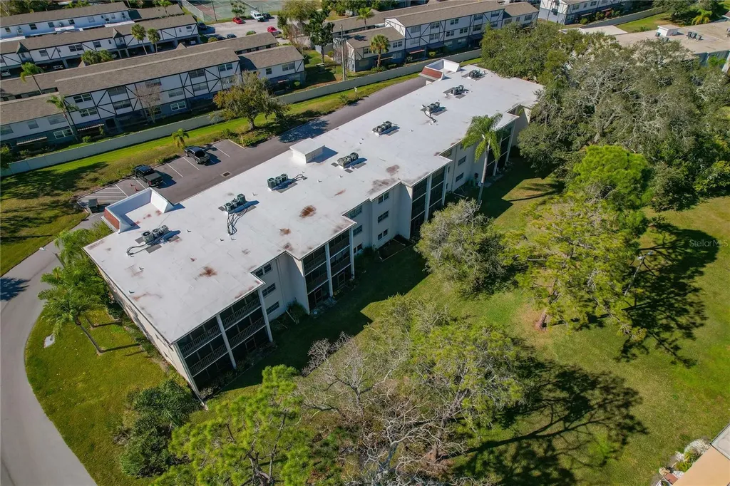 1375 Doolittle Lane Dunedin FL 34698