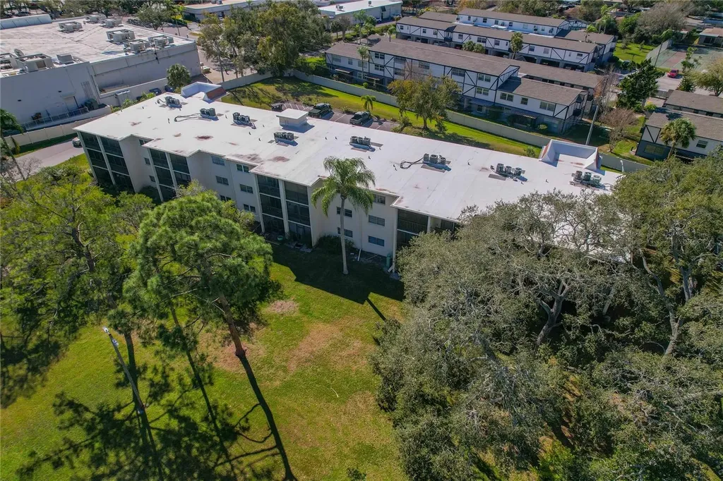 1375 Doolittle Lane Dunedin FL 34698