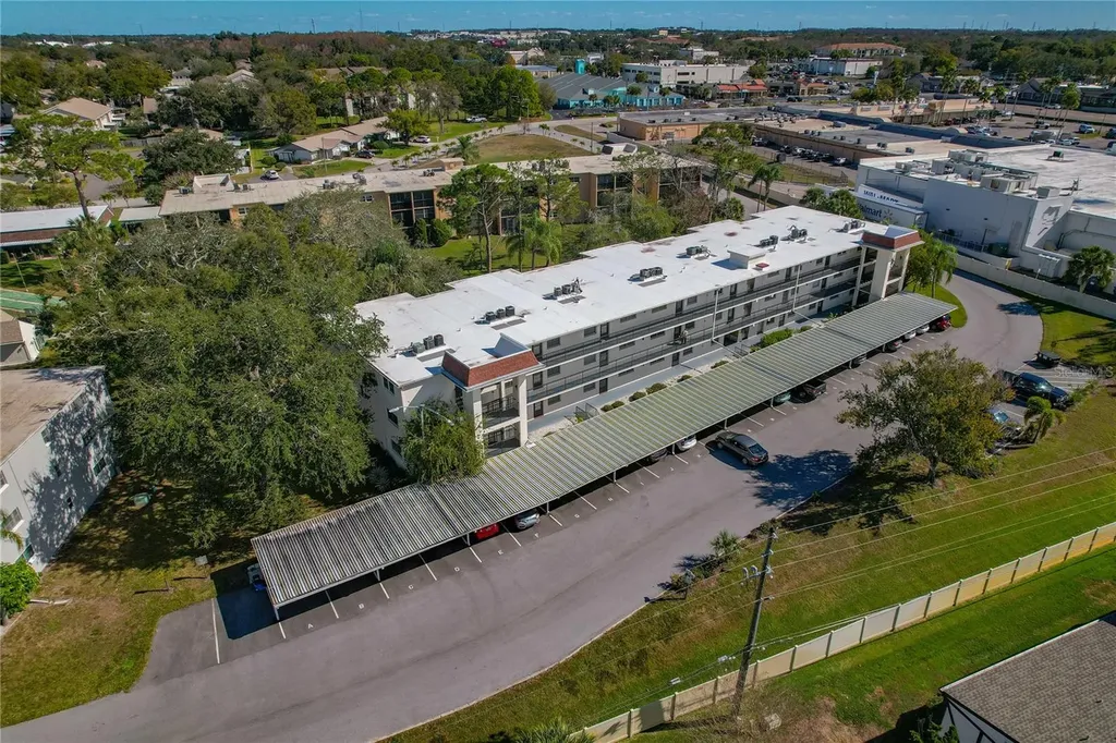 1375 Doolittle Lane Dunedin FL 34698