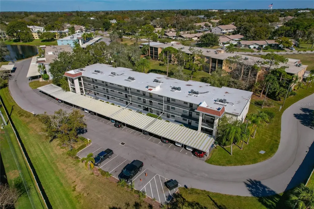 1375 Doolittle Lane Dunedin FL 34698