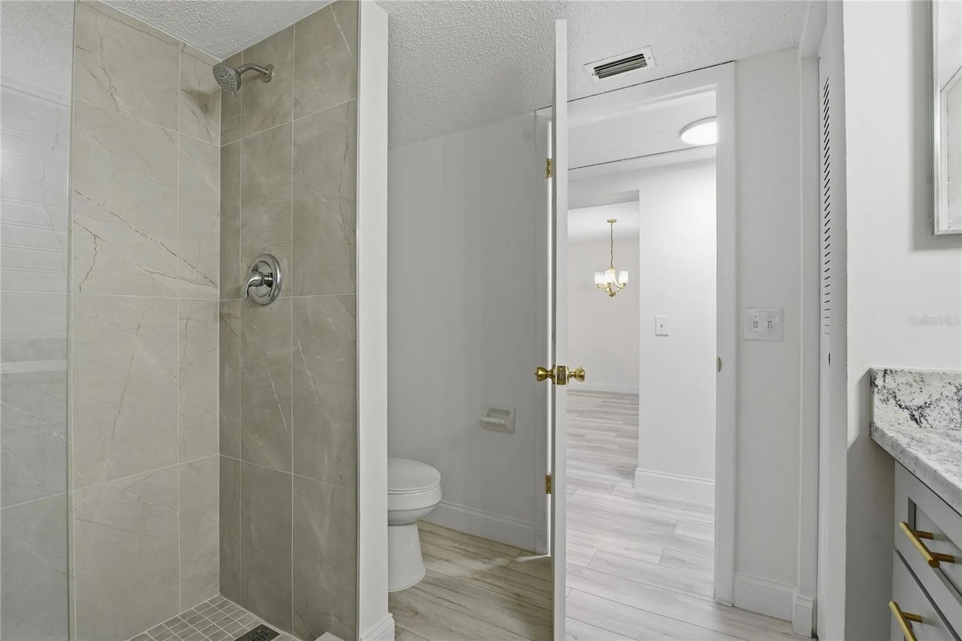 1375 Doolittle Lane Dunedin FL 34698