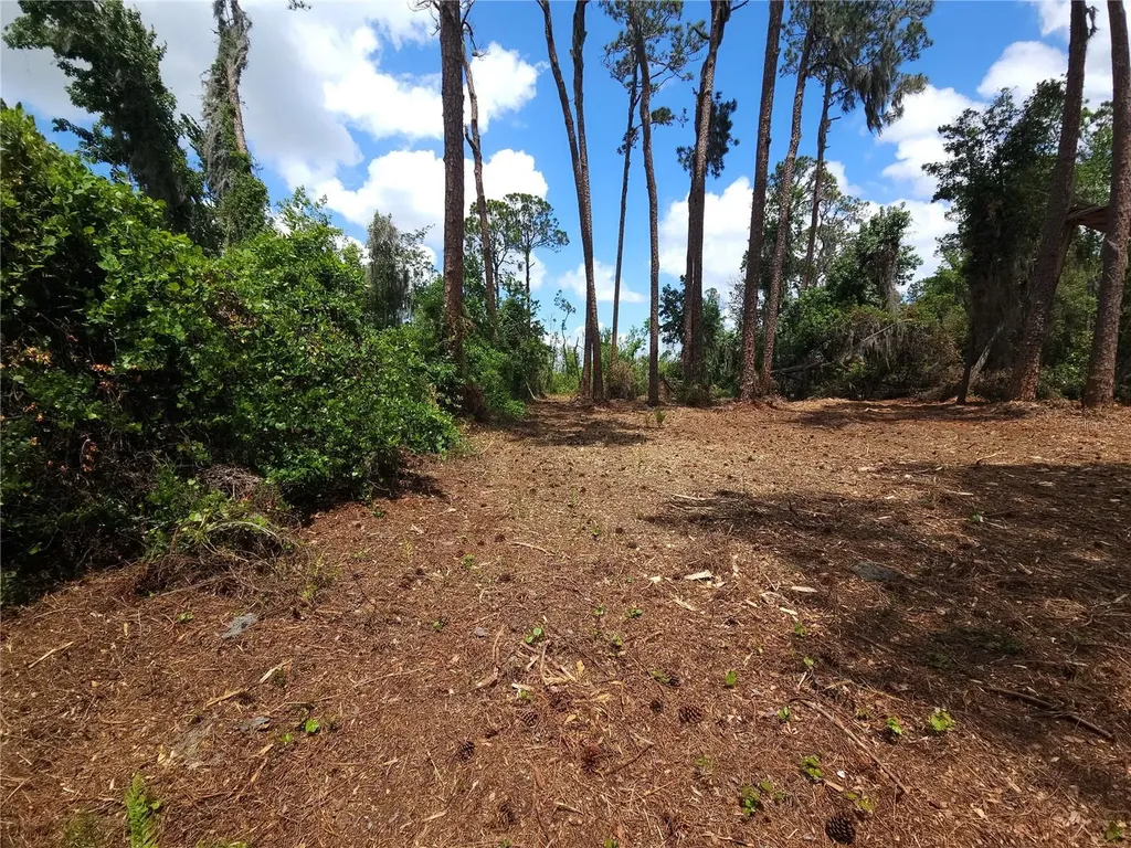 Tbd Cr 155 Wildwood FL 34785