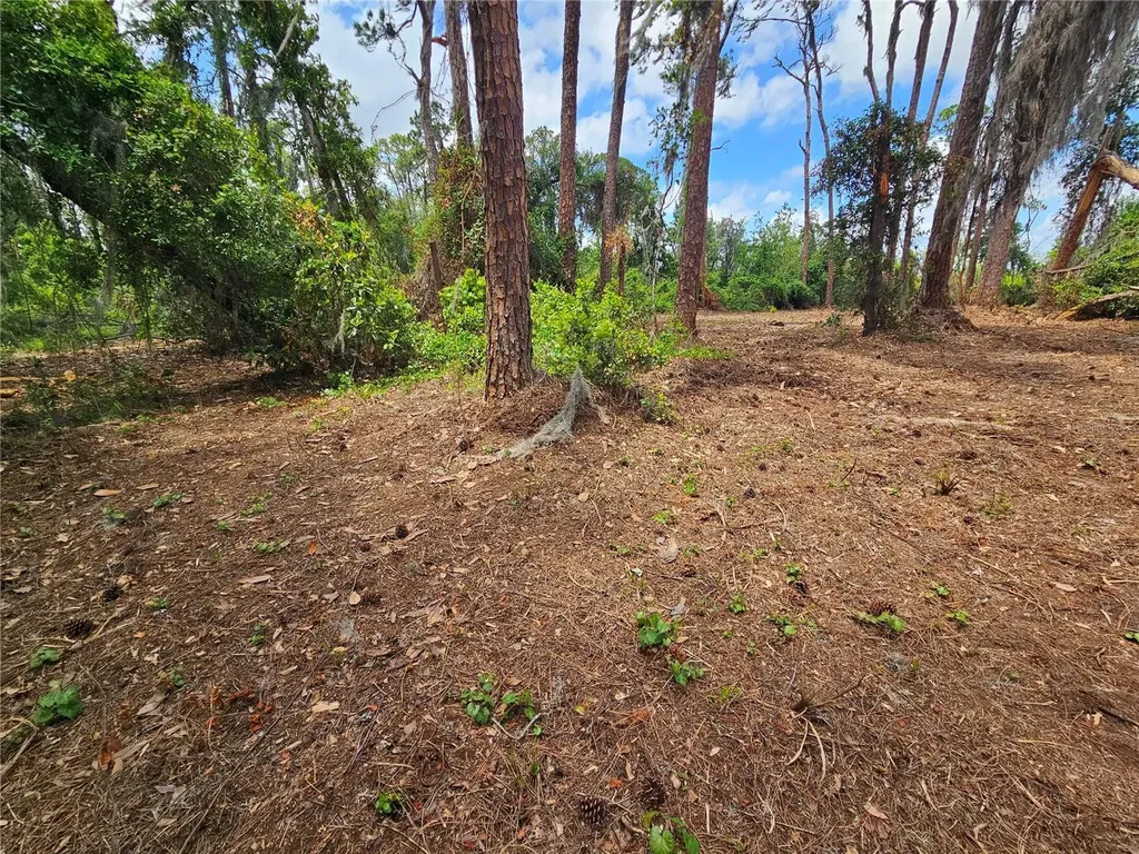 Tbd Cr 155 Wildwood FL 34785