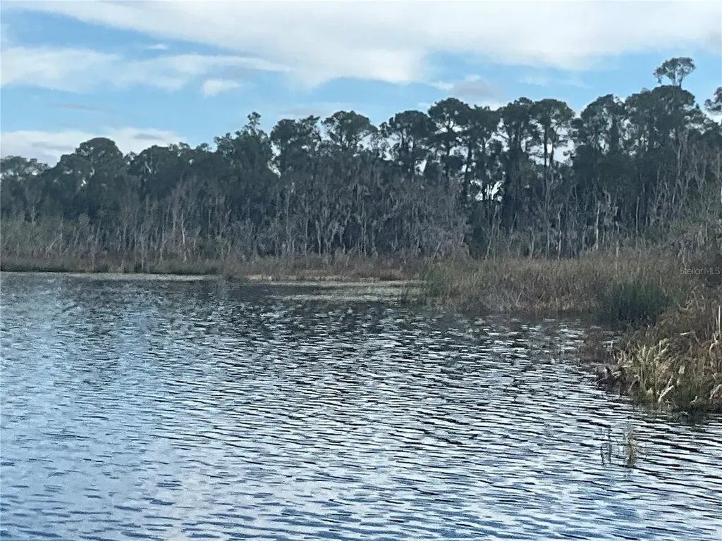 Tbd Cr 155 Wildwood FL 34785