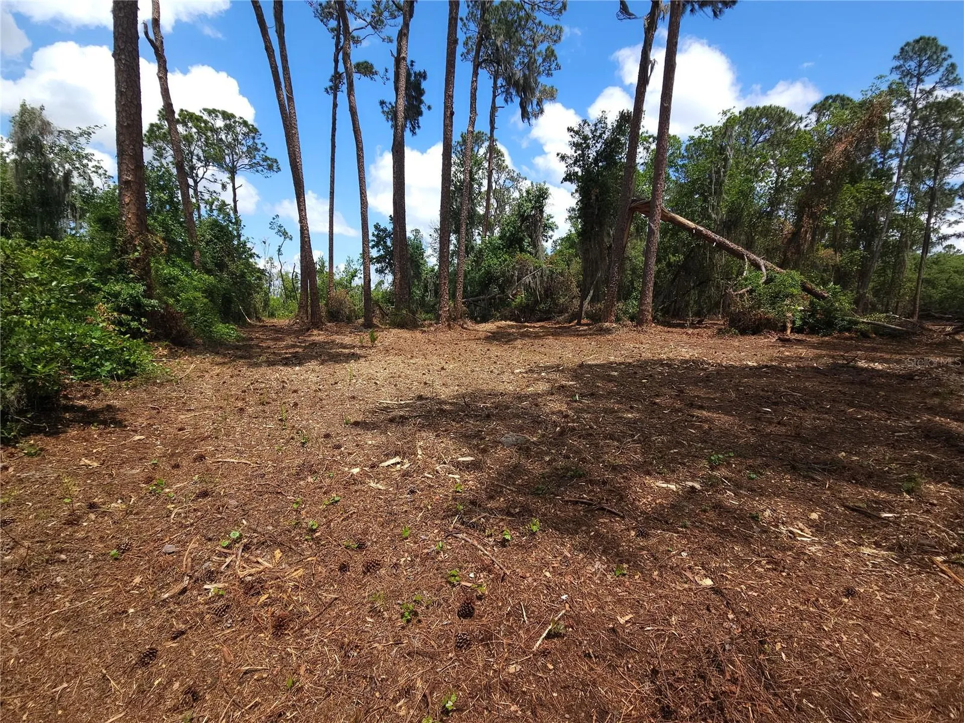 Tbd Cr 155 Wildwood FL 34785
