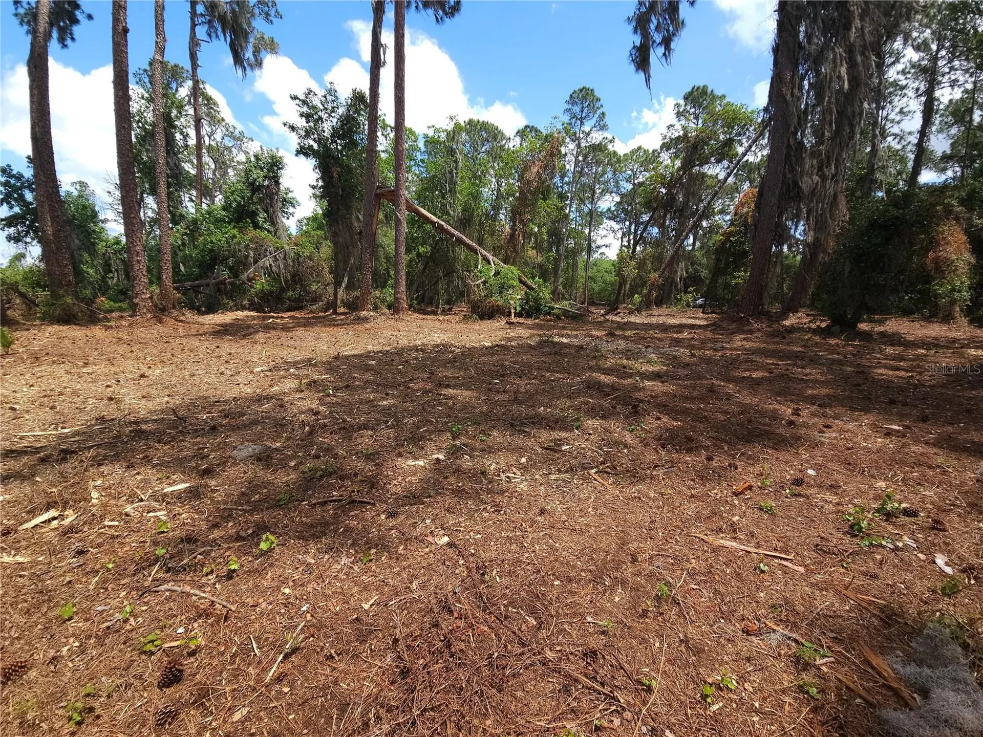 Tbd Cr 155 Wildwood FL 34785