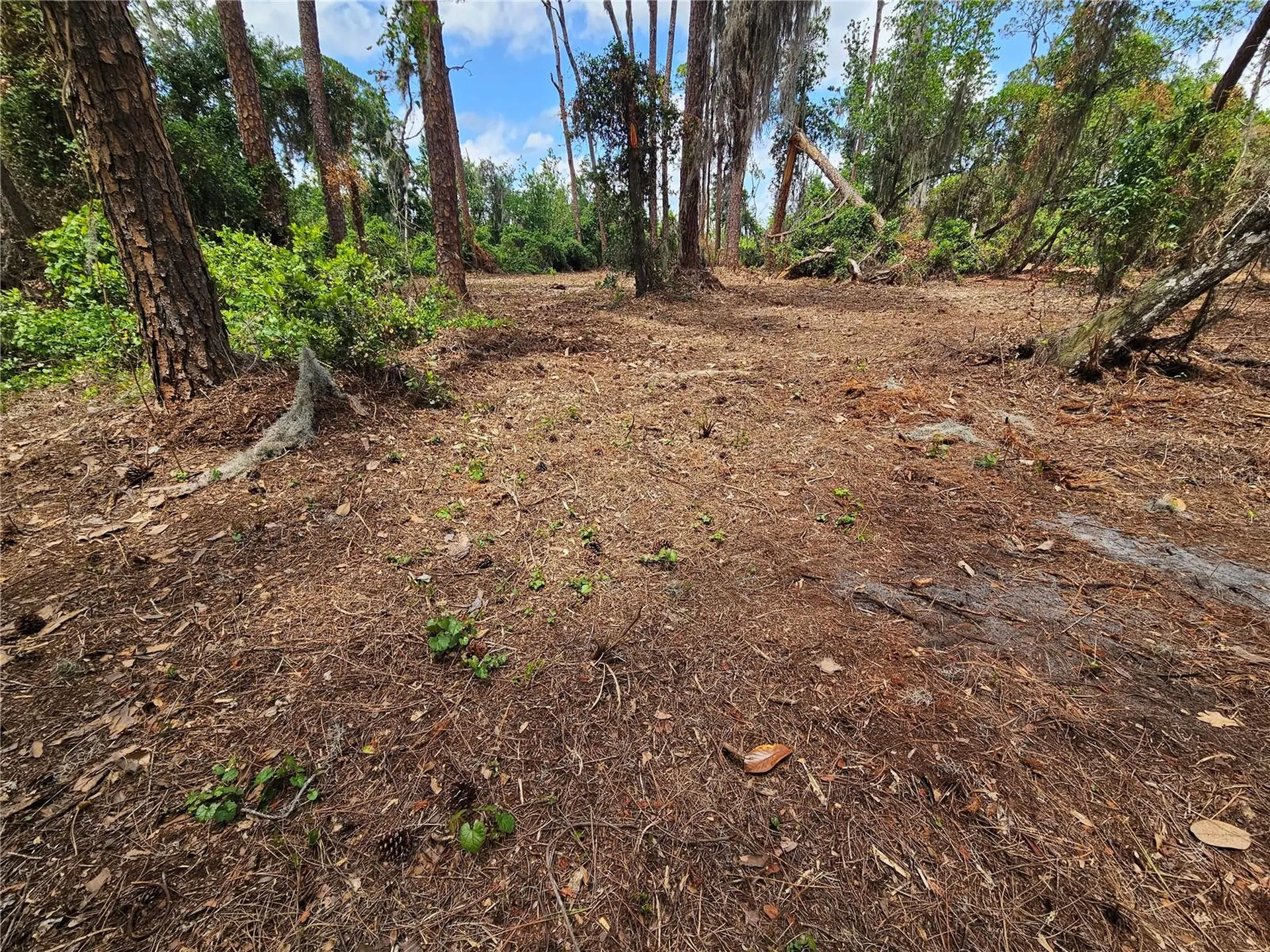 Tbd Cr 155 Wildwood FL 34785