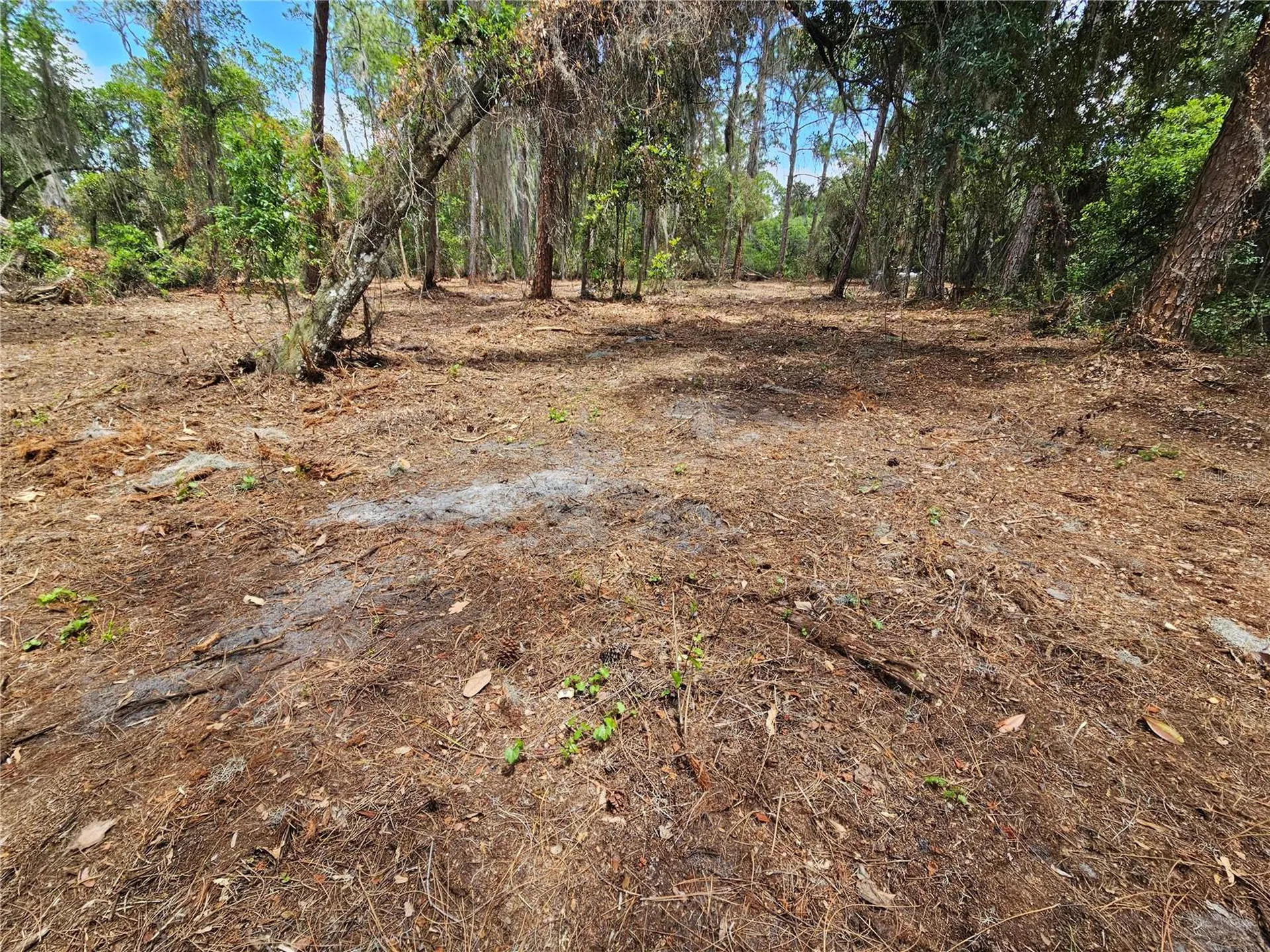 Tbd Cr 155 Wildwood FL 34785