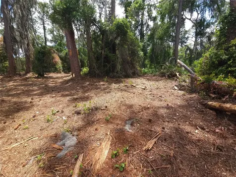 Tbd Cr 155 Wildwood FL 34785