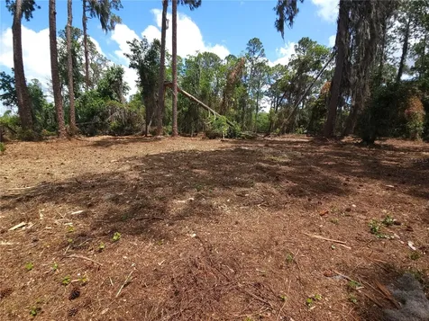 Tbd Cr 155 Wildwood FL 34785
