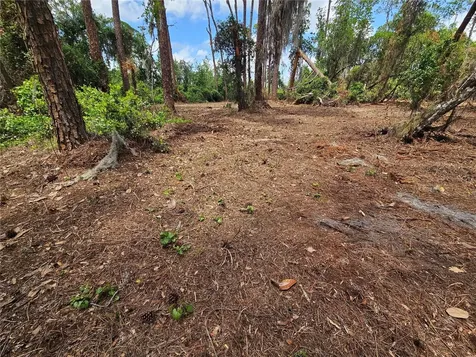 Tbd Cr 155 Wildwood FL 34785