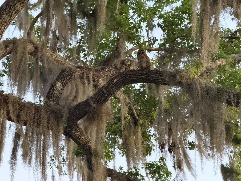 2635 Wood Duck Village Deland FL 32720