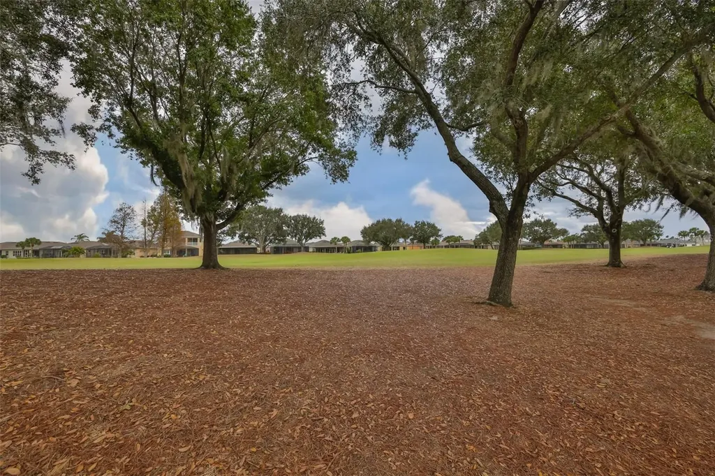 1118 Emerald Dunes Drive Sun City Center FL 33573