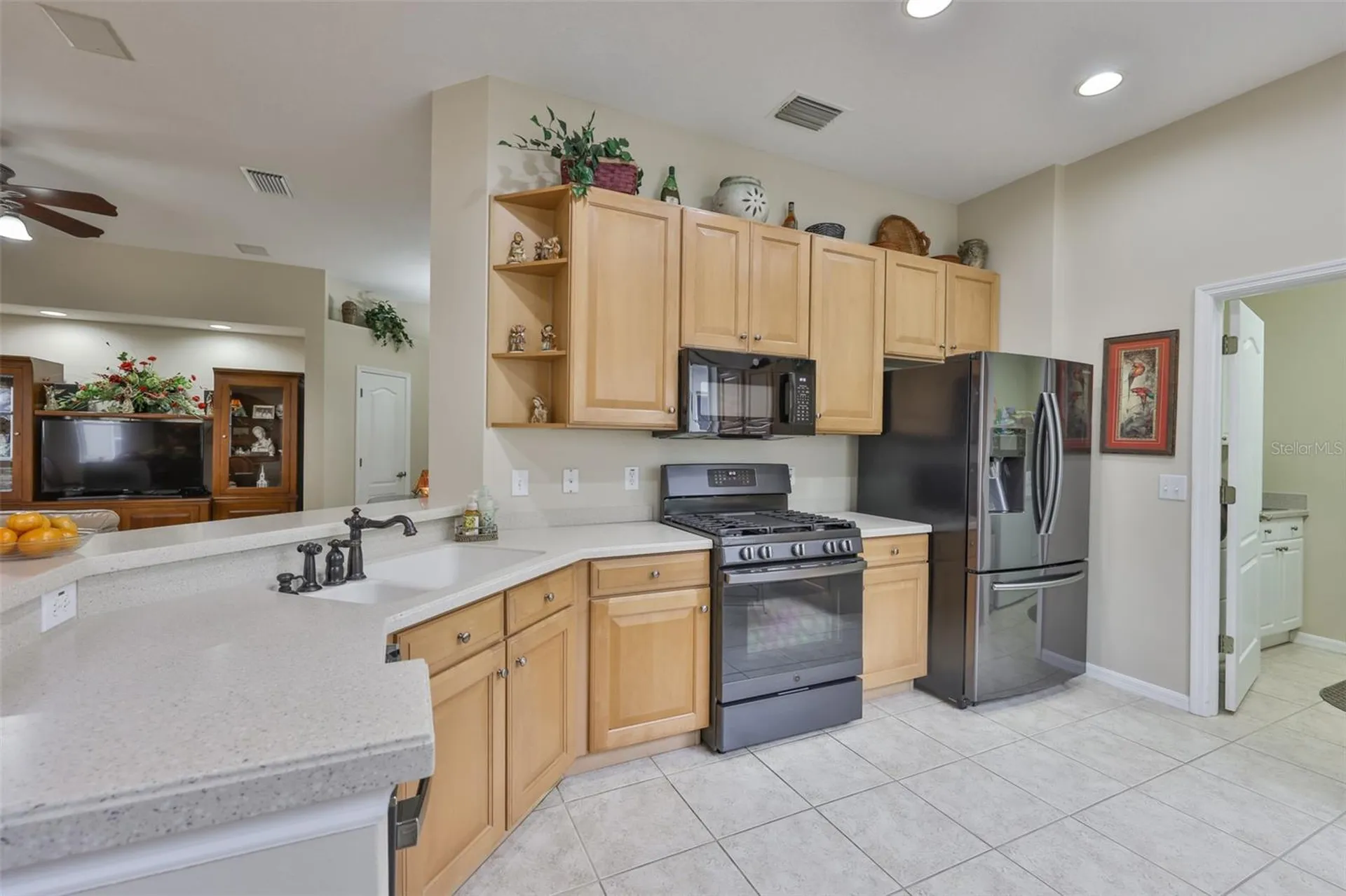 1118 Emerald Dunes Drive Sun City Center FL 33573