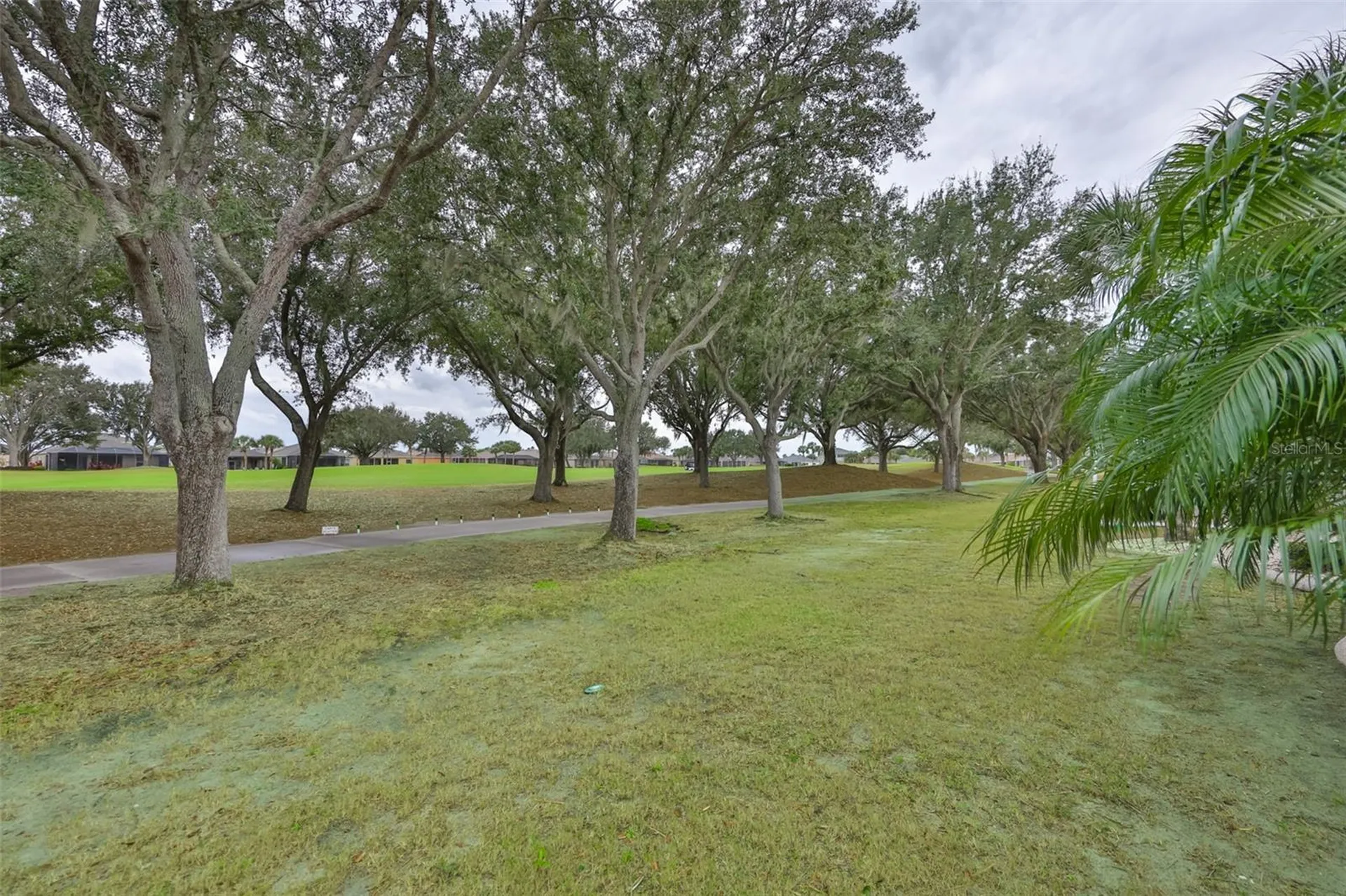 1118 Emerald Dunes Drive Sun City Center FL 33573
