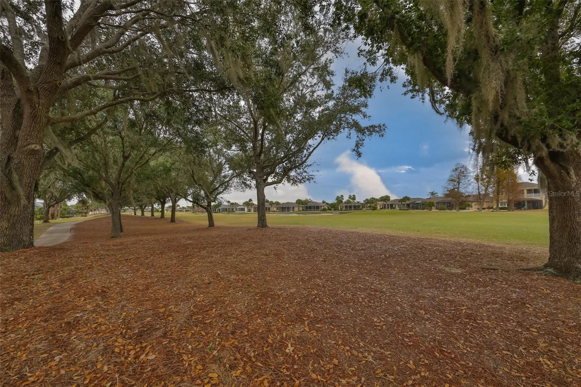 1118 Emerald Dunes Drive Sun City Center FL 33573
