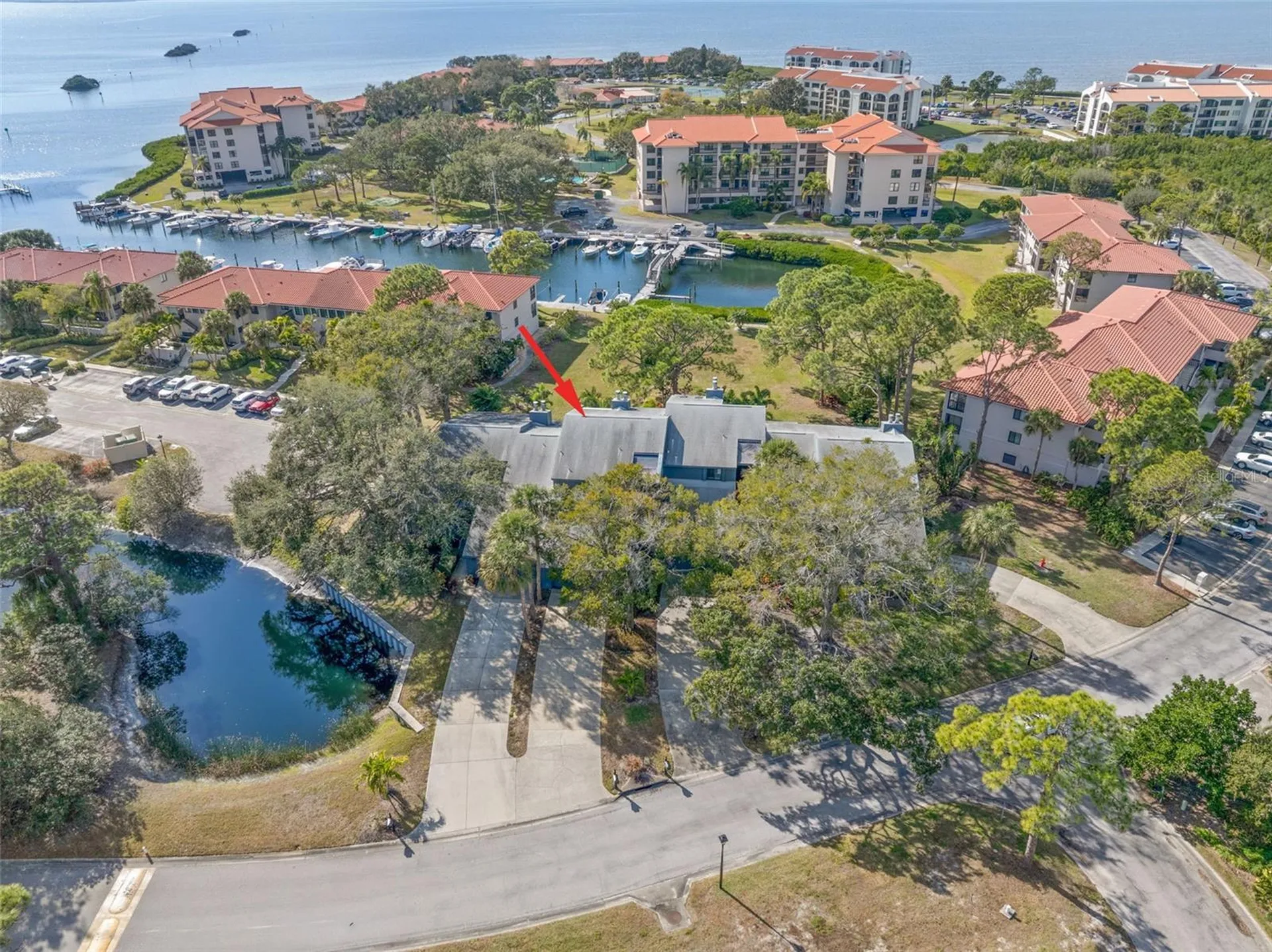 12 Mariner Drive Tarpon Springs FL 34689