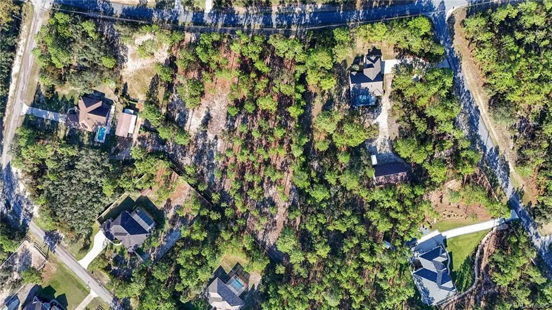 4295 N Bridger Drive Beverly Hills FL 34465