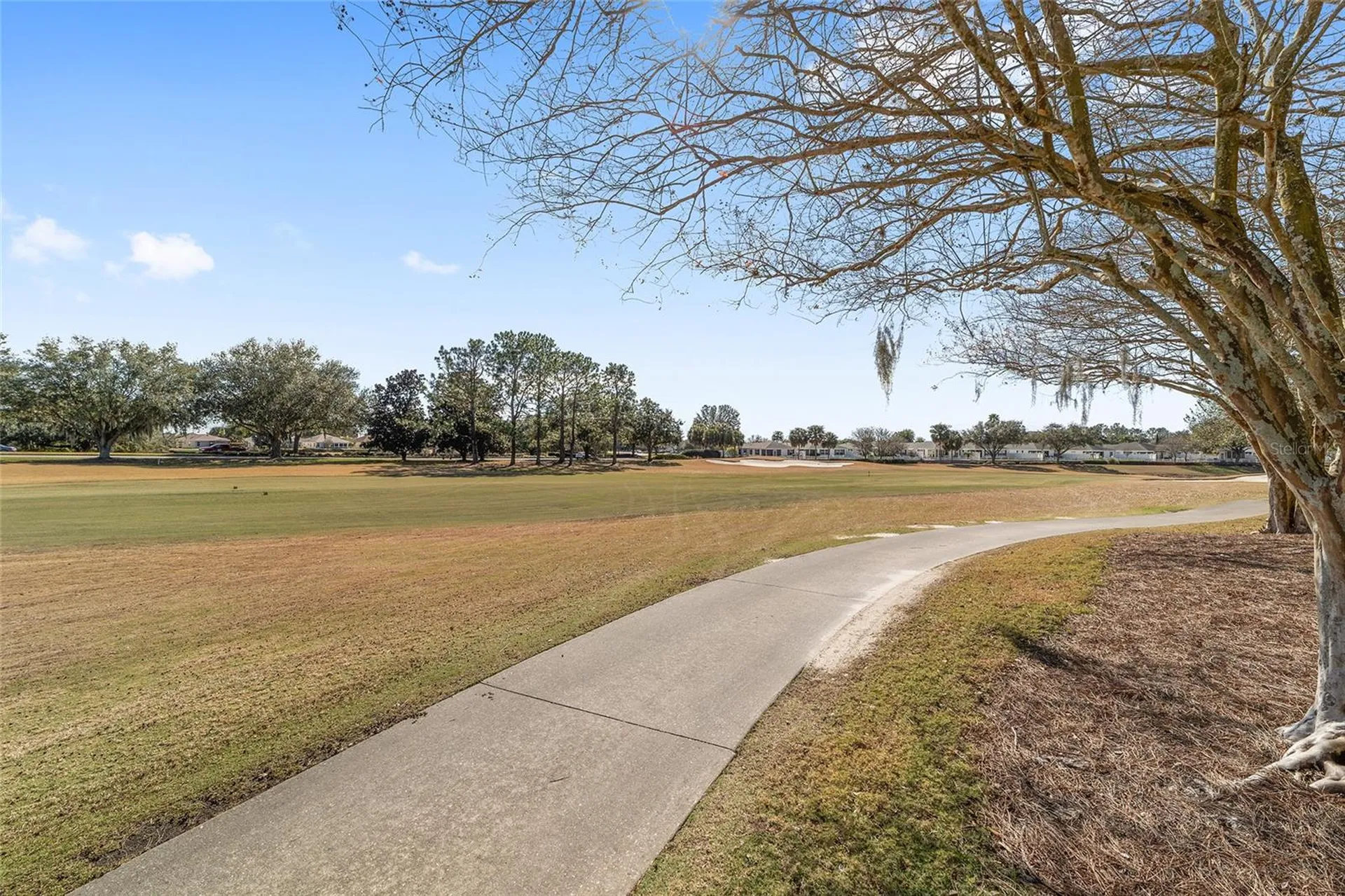 16642 SE 80th Bellavista Circle The Villages FL 32162