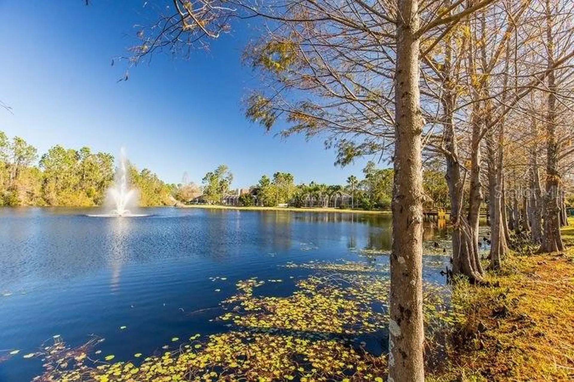 18 Foxfords Chase Ormond Beach FL 32174
